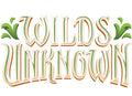 Lorcana Wilds Unknown EN 12