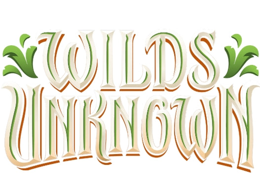 Lorcana Wilds Unknown EN 12 Cold Foil