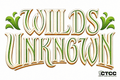 Lorcana Wilds Unknown EN 12 Cold Foil - Complete Trading Card Collective
